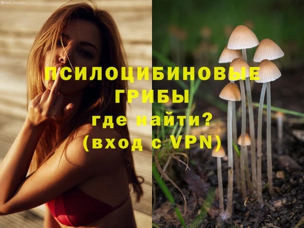 дмт Волоколамск