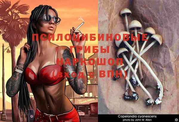 мдпв Волосово