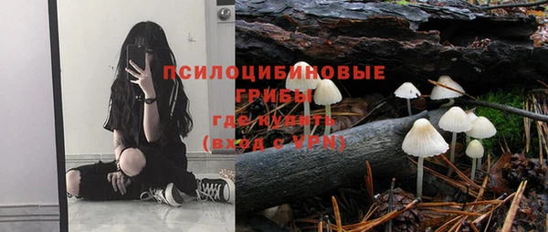 спиды Покровск