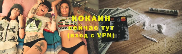 мяу мяу мука Покачи